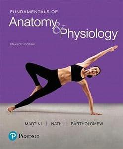 Fundamentals of Anatomy & Physiology image