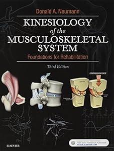 Kinesiology of the Musculoskeletal System: Foundations for Rehabilitation image