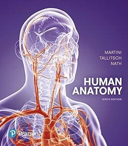 Human Anatomy image