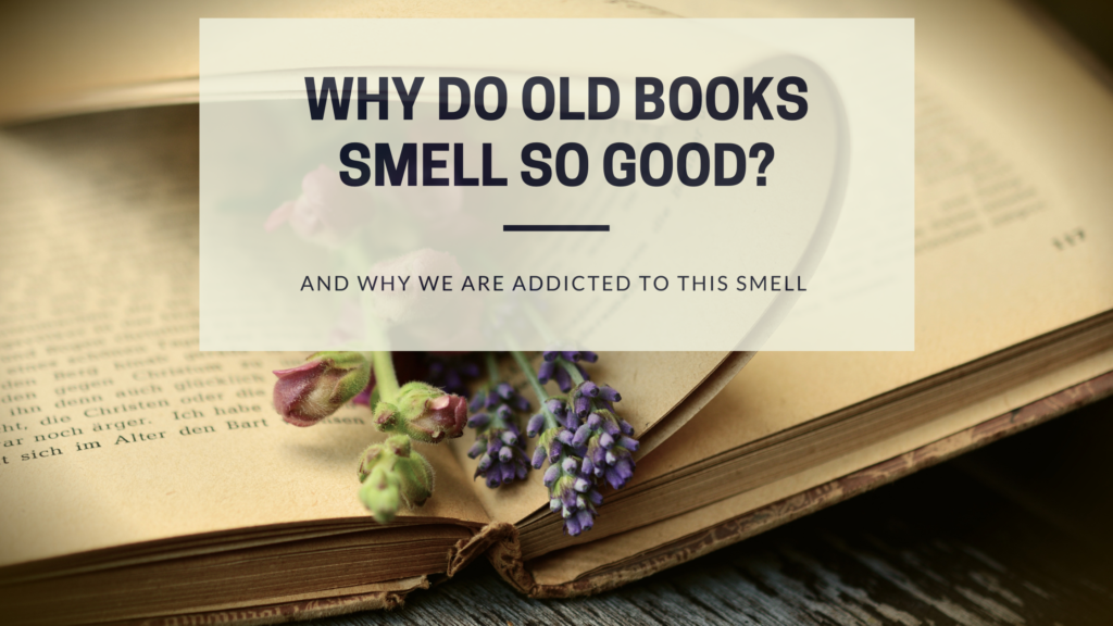 what-is-old-books-smell-like-and-why-are-we-addicted-to-it