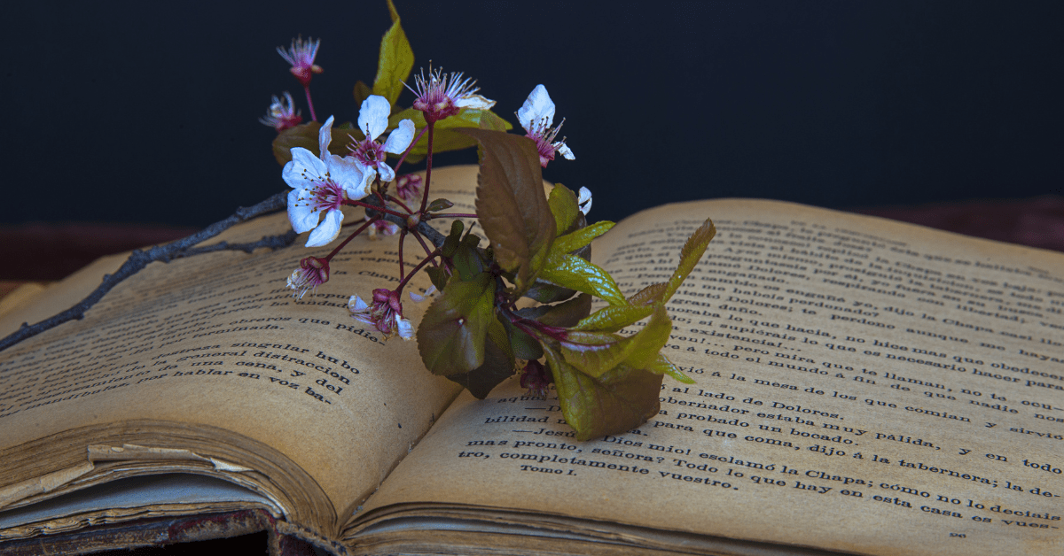 the Chemistry of Old Books: Why They Smell So Good?