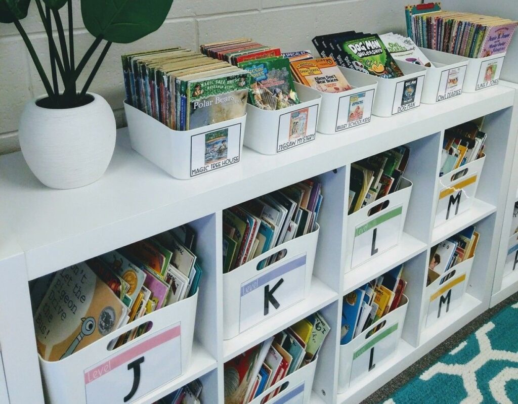 Organize How Kids See the Books